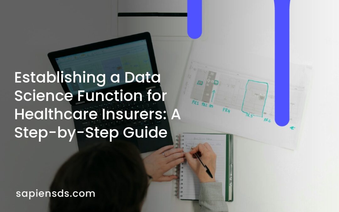 Establishing a Data Science Function for Healthcare Insurers: A Step-by-Step Guide