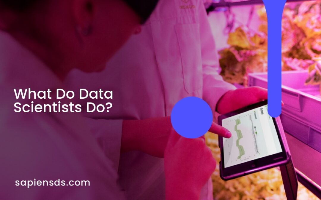 What Do Data Scientists Do?