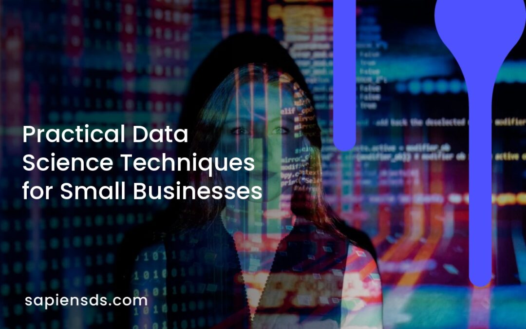 Practical Data Science Techniques for Small Businesses