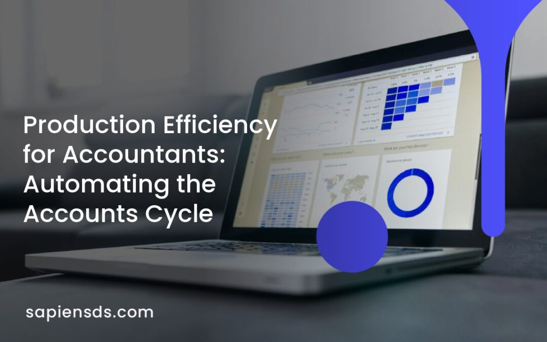 Production Efficiency for Accountants: Automating the Accounts Cycle