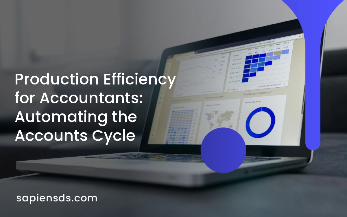 Production Efficiency for Accountants: Automating the Accounts Cycle